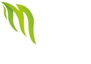 Logo der Media Schmiede